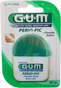 Gum Perio Pic, Bt 60 à LEVIGNAC